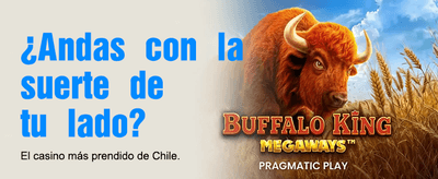 Ruleta online profesional